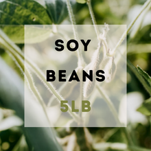 Load image into Gallery viewer, Organic Soy Beans