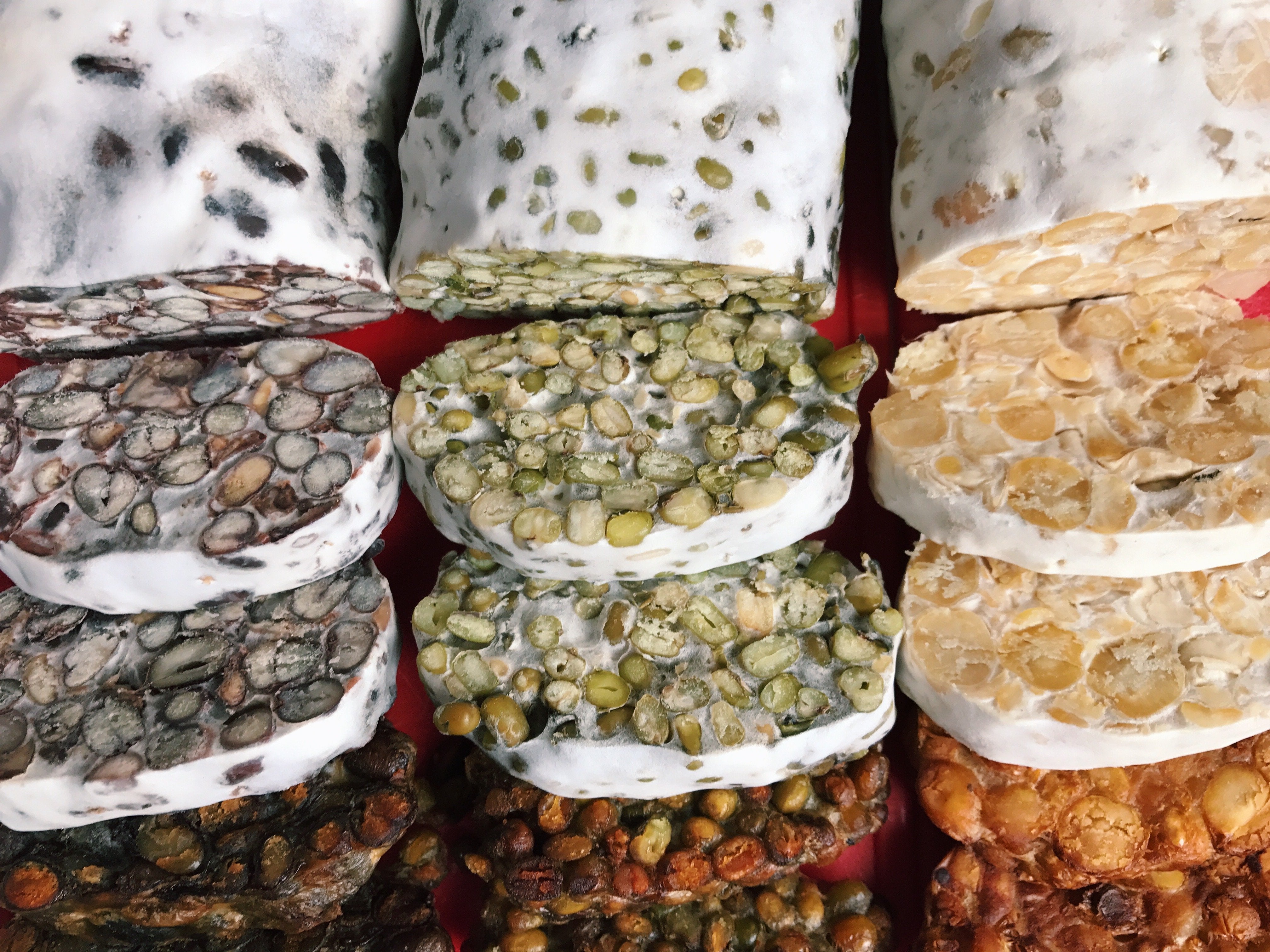 Organic Tempeh Making Kits – Make Tempeh